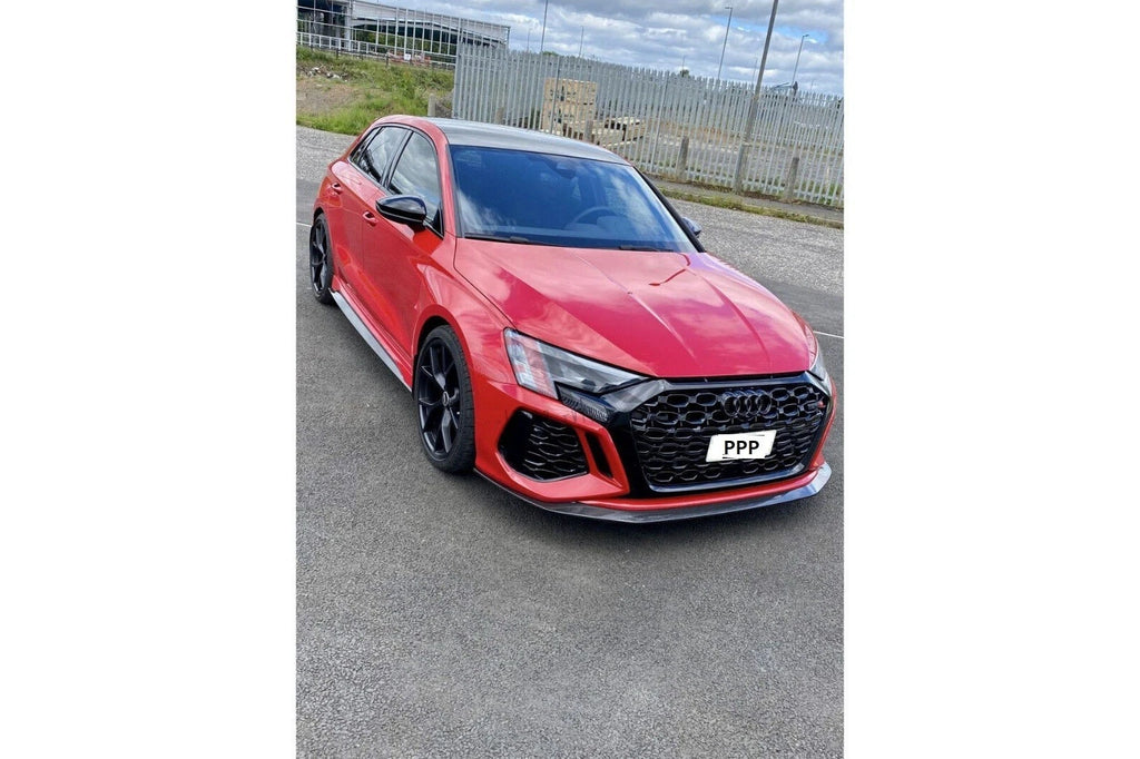 3D-Druck Kennzeichenhalter für Audi RS3 8Y Wabengrill Klemmung rahmenlos - Bild 3