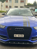 Schweiz 3D-Druck Kennzeichenhalter Klemmung für die Schweiz rahmenlos für Audi W - Bild 1